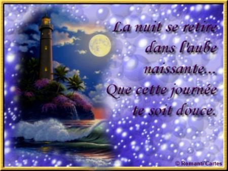 Bonjour  les amis